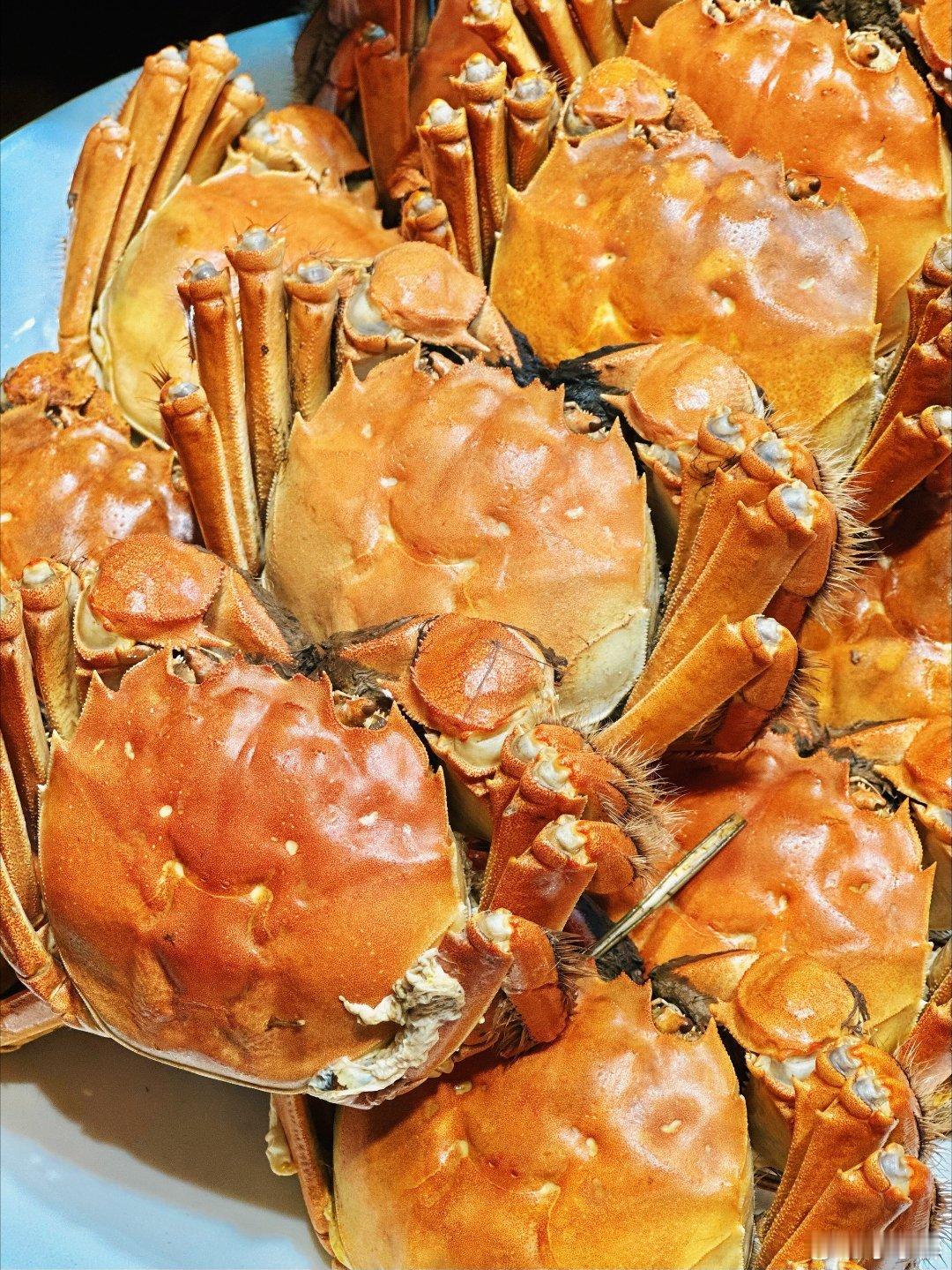 阳澄湖大闸蟹有了平替海归程序员回村养蟹年销千万海归程序员张贤明返乡当“蟹农”，利