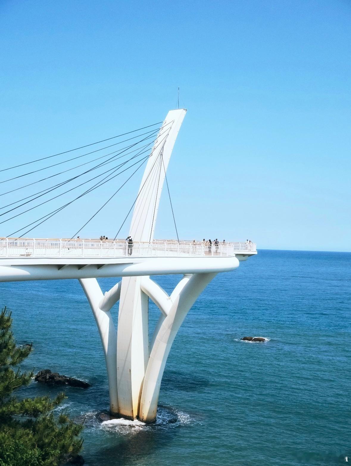 时间无非是供我垂钓的溪流。——梭罗《瓦尔登湖》 