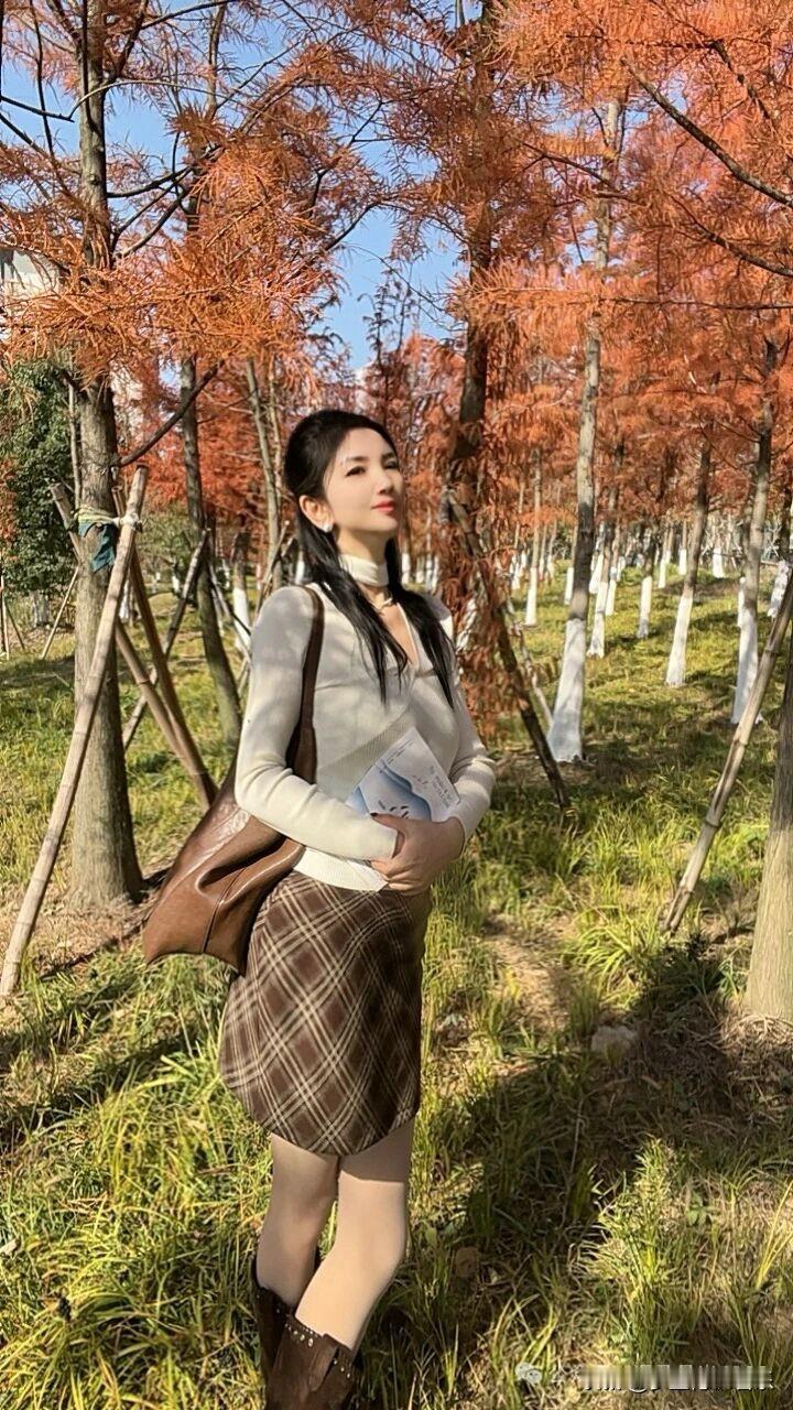 与一片金黄的契约

滋养是一场盛大的奔赴。我动身前往的，不叫未来湖——它有一个更