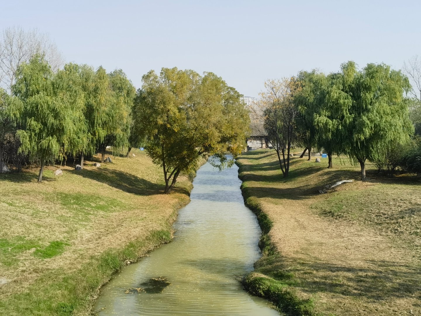 享受初冬的风和暖阳周日清晨，总是洋溢着满满的幸福感！20℃的暖阳倾洒，令人经络舒