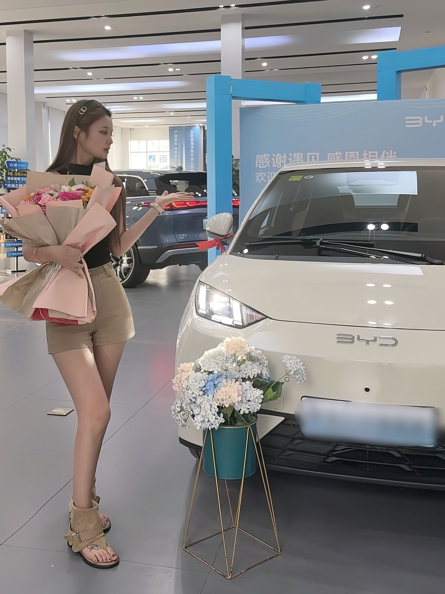 喜提比亚迪海鸥现在很多车型都带智驾🚗 ​​​
