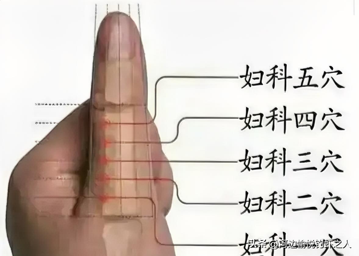 董氏奇穴十大特效穴，每一个都效果神奇
1. 灵骨穴 + 大白穴（手背）
- 最神