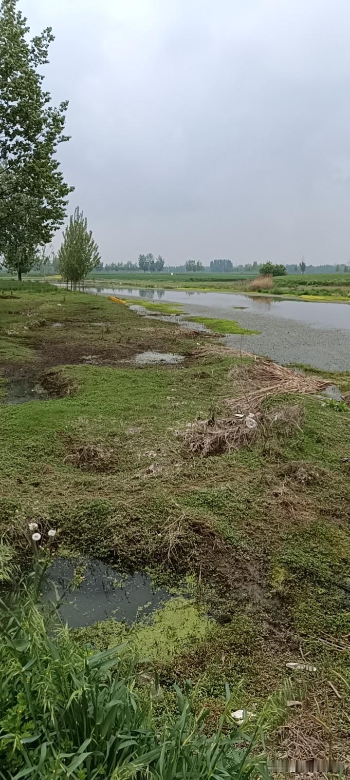 人只有专注自己的时候才会变得明媚开朗。
精力放在别人身上反而会变得贪婪拧巴又扭曲