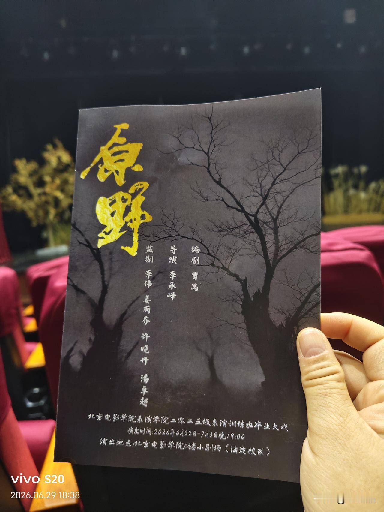 昨天我去看话剧《原野》，跟弟弟一分享，她好眼力，一下就说到根儿上了:说1981年