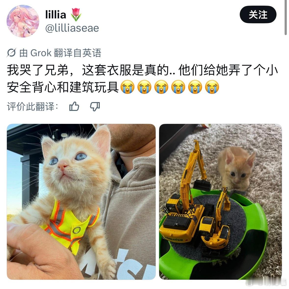 萌死啦 ​​​