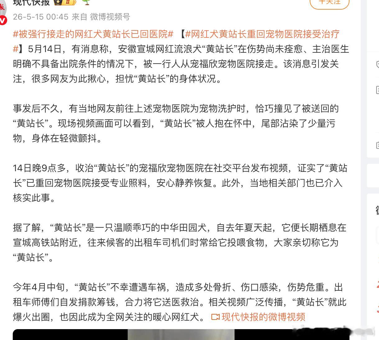 剧本安排：六一与小朋友们互动，七一在旗帜下不栓绳走一圈，八一再蹭一波，九十再强闯