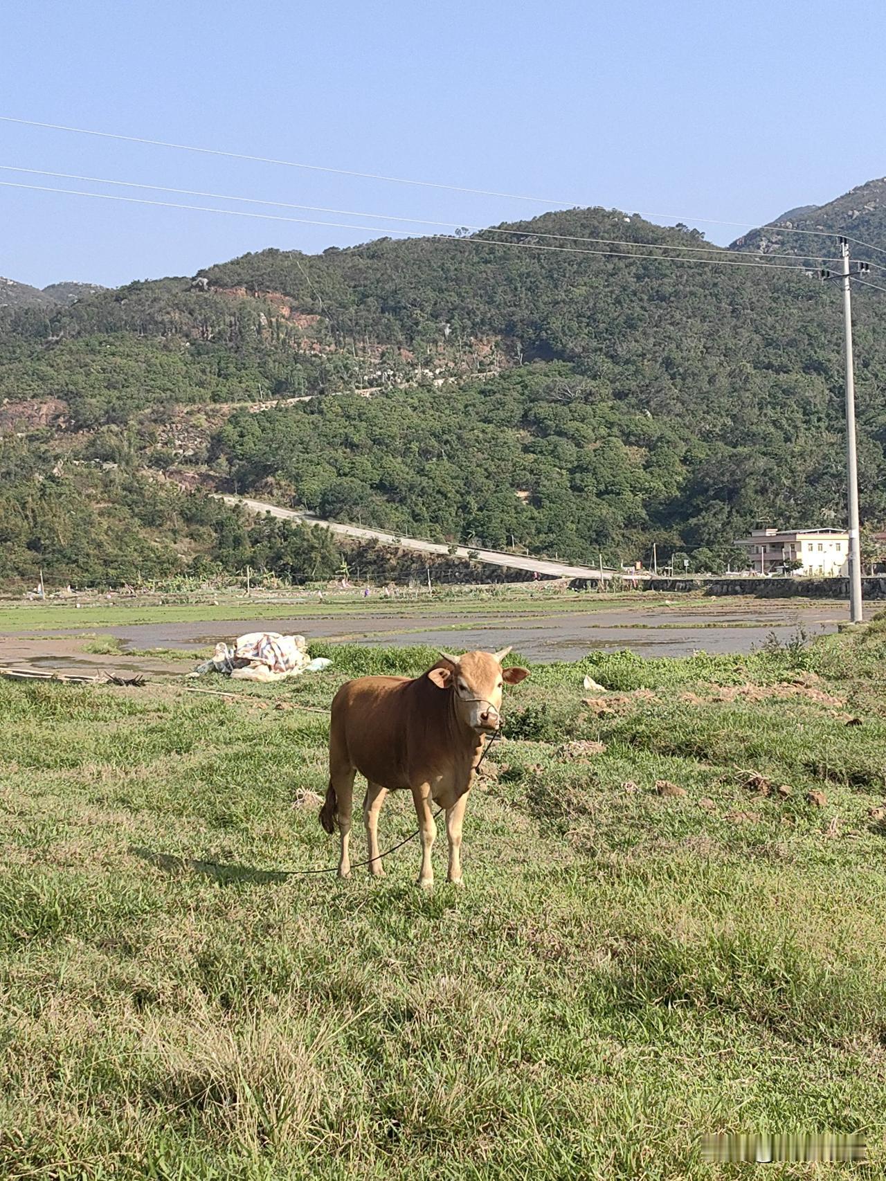 吃过早餐后，老公提议到外面去走走，我顺便去把垃圾拿去丢掉。刚走出门口，我突然发现
