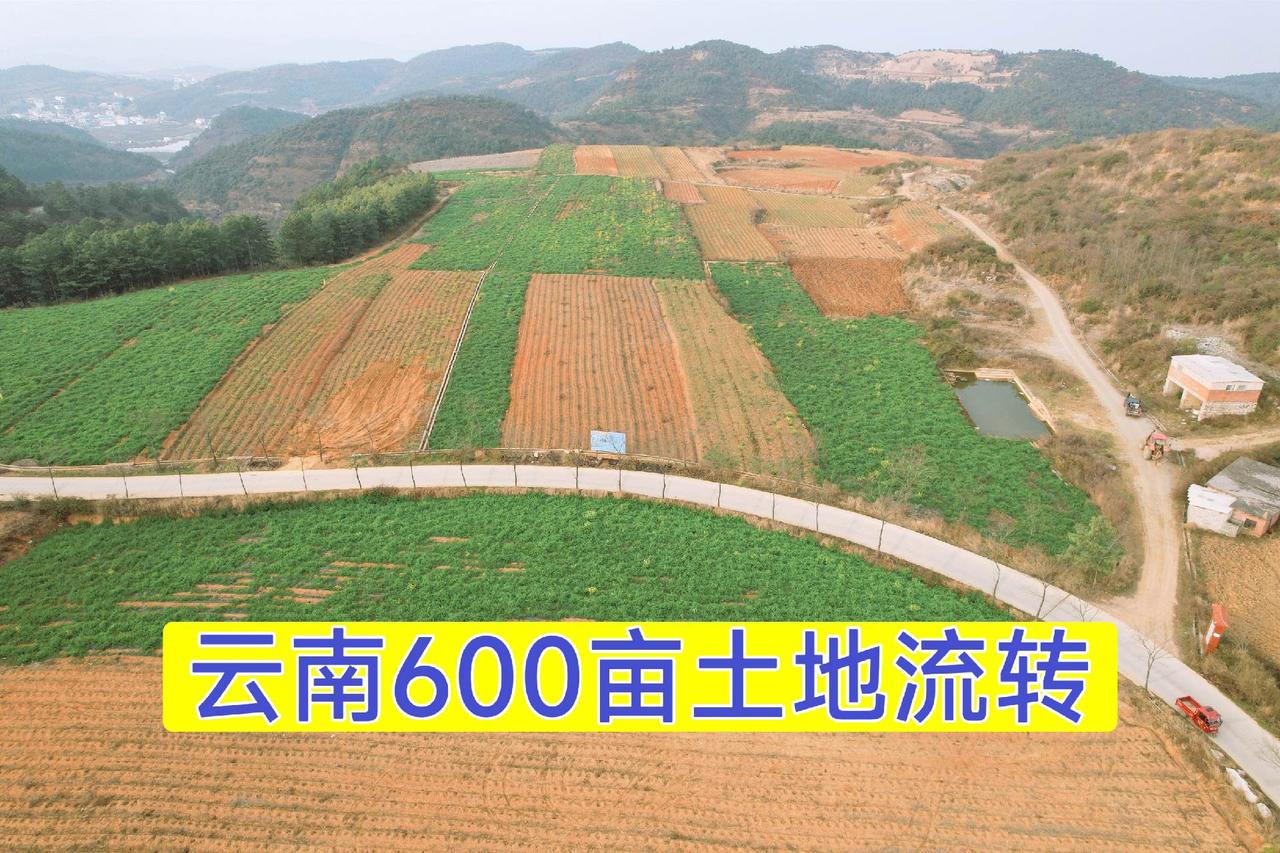 土地流转 三农种植 土地承包 云南土地 种植