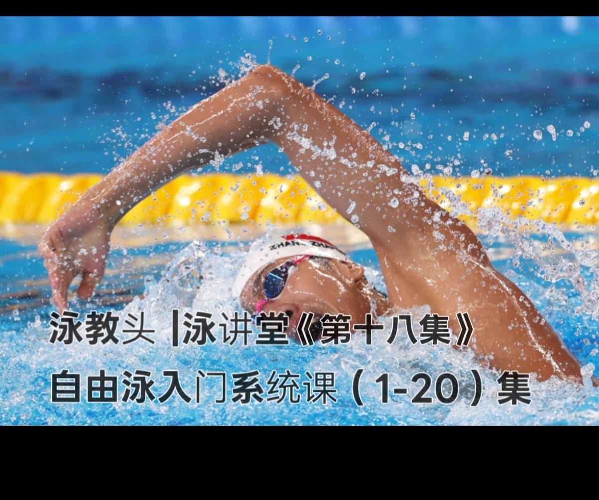 泳教头｜泳讲堂第18集：全身放松，自由泳越游越轻松
 
自由泳游得累，根本不是“
