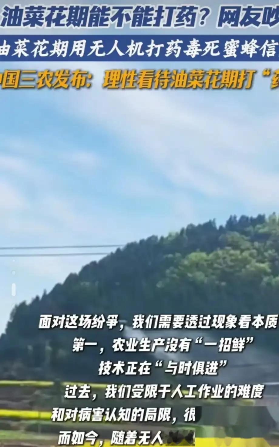 湖南衡阳油菜花盛开季，无人机喷药一夜间毒死数千箱蜜蜂，蜂农损失几十万瞬间归零，种