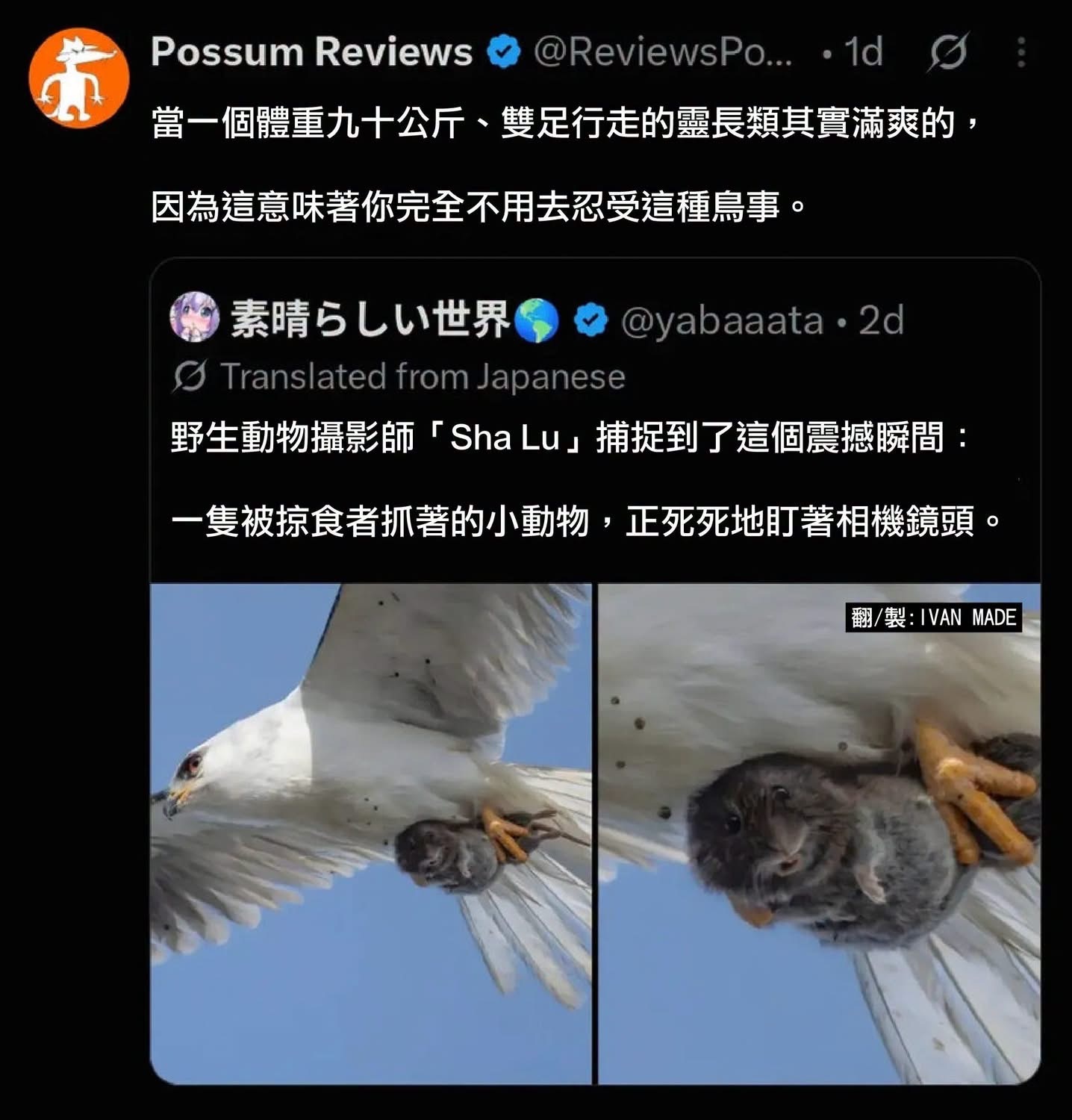 哈哈 我要死啦 