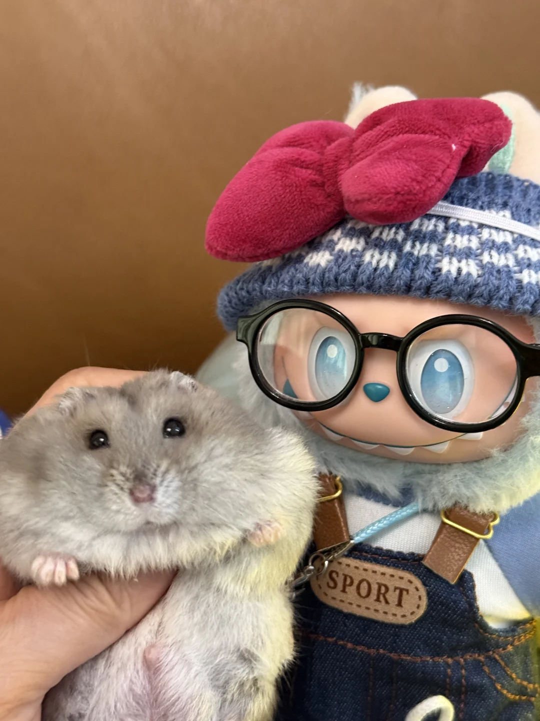 鼠鼠艺术照：秋秋篇