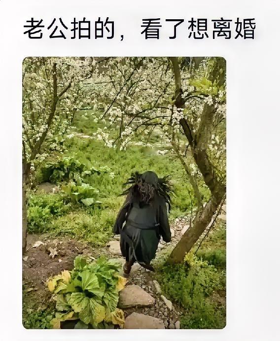 长这样他都没嫌弃你，还离啥！？