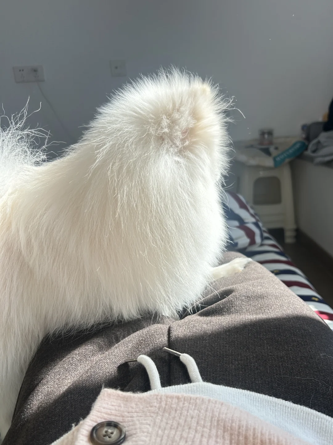 宝宝你像一只发光小猫咪