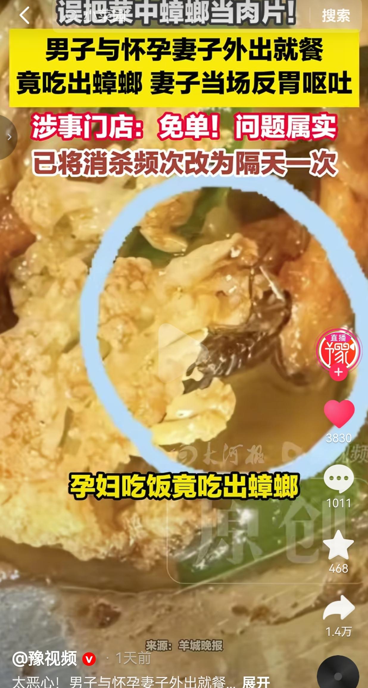 南京食客带孕妻吃饭，菜里吃出蟑螂，店家整改方案惹网友吐槽
 
怀着孕还在外头吃饭