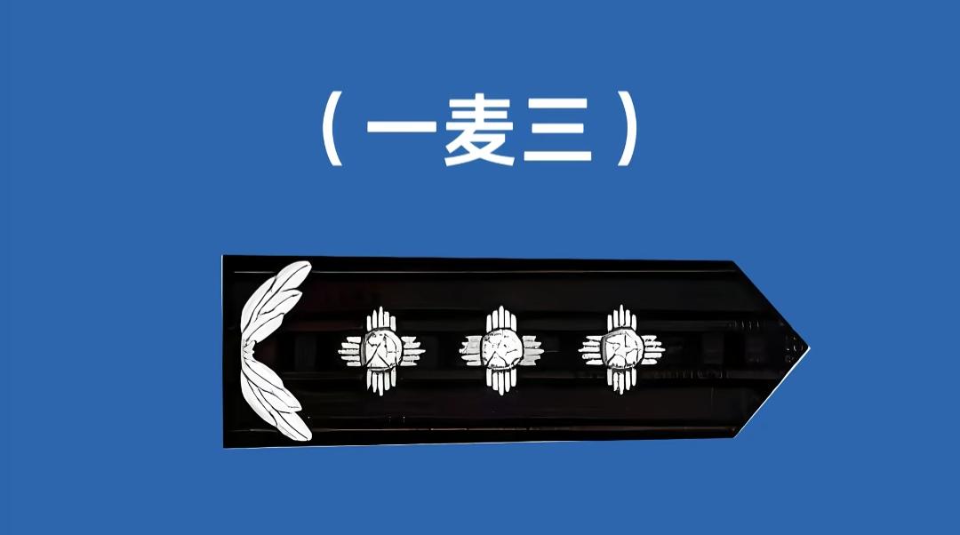 看着就很舒服，让人羡慕，这是几级警监呢？有了解的吗？说一下。[作揖][玫瑰]