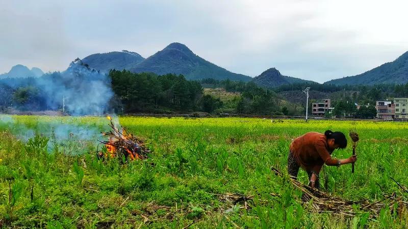 年轻人在农村干农活不丢人，但确实收入太少，因为地少、种籽化肥农药贵。远不如去城里