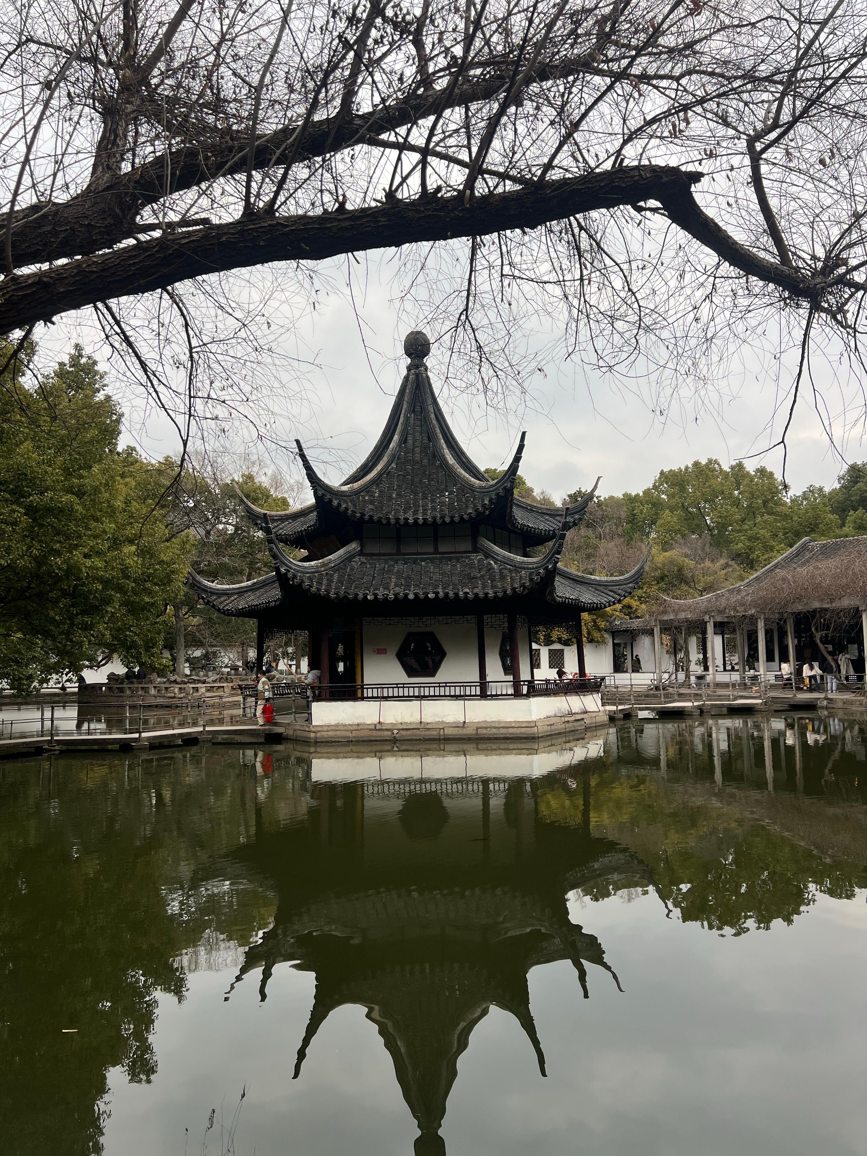 烟火漫 心自宽 苏州·西园寺-西花园湖心亭