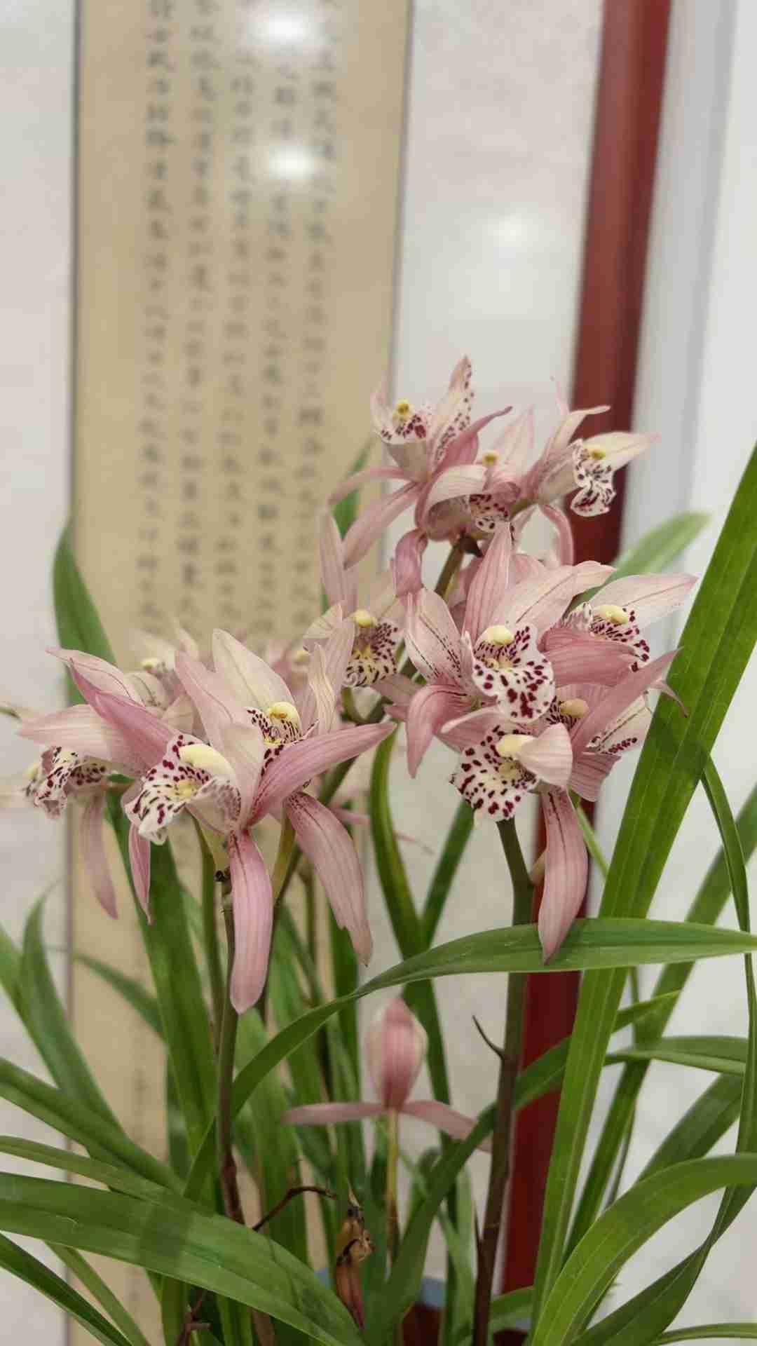 我的今日状态：😁轻松愉快
我这里的天气：🌧下雨