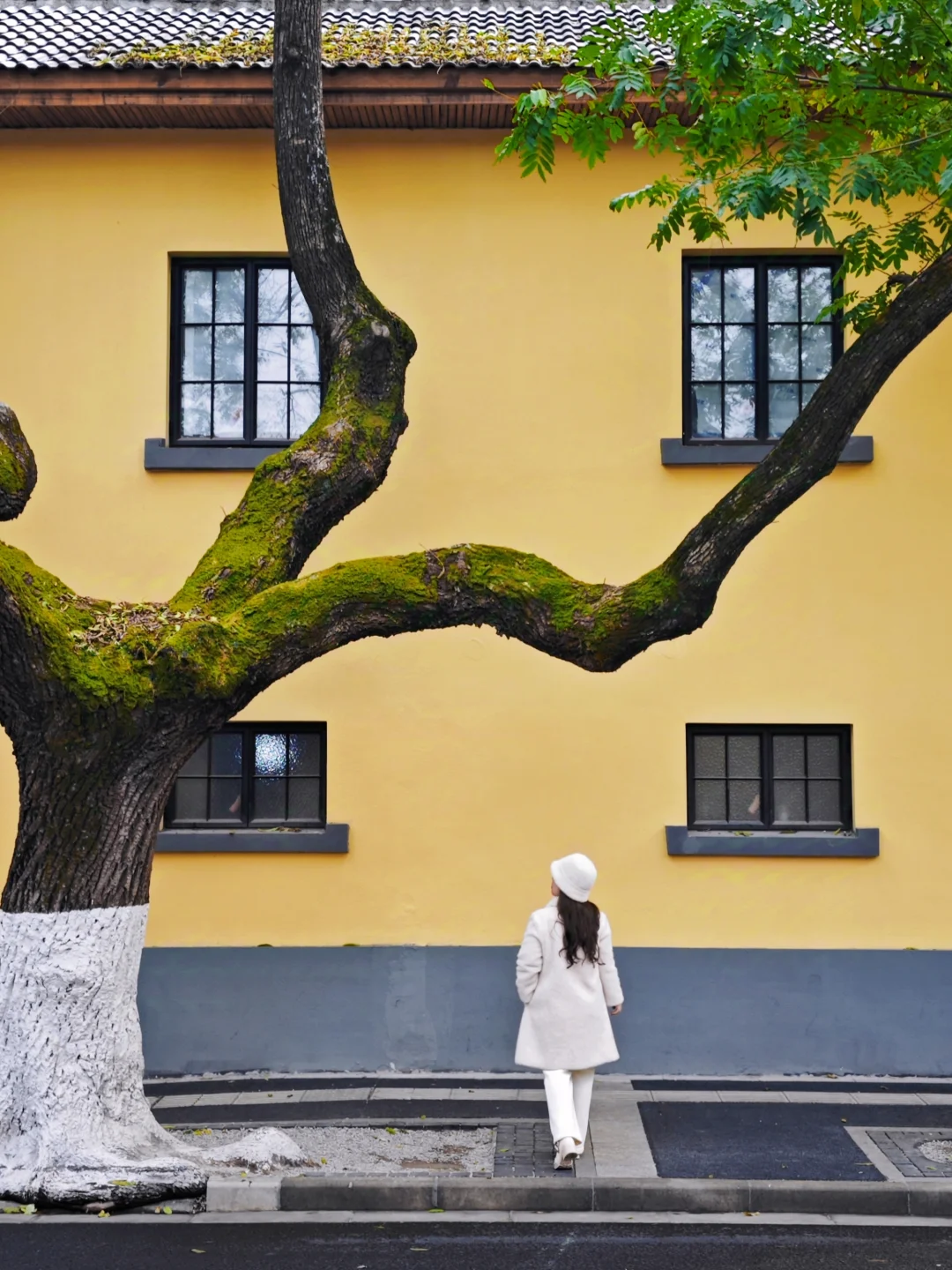 2024旅行结算｜我去过最美的9个地方