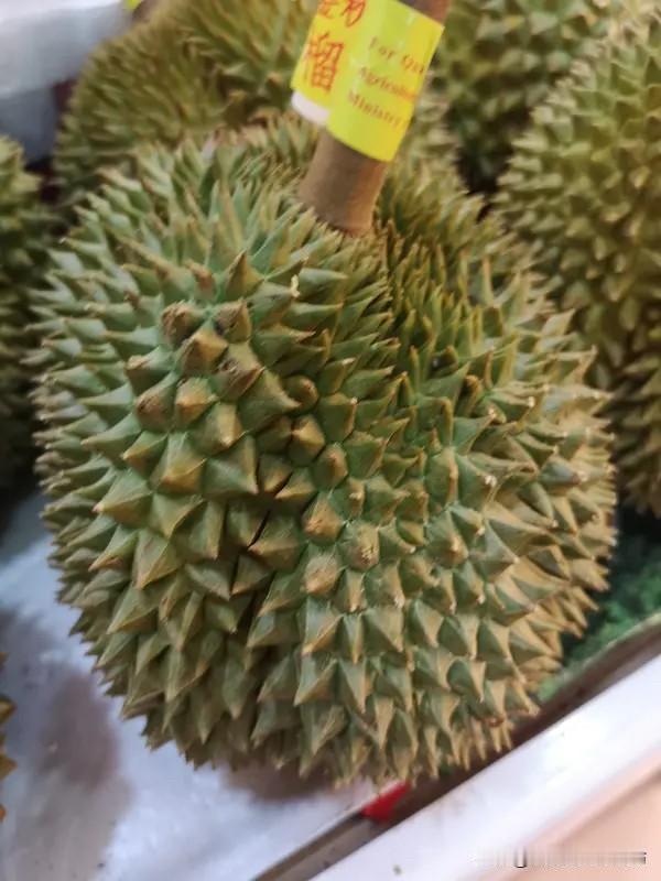 为啥现在没人买榴莲了？4个原因太扎心

明明还是很多人馋榴莲的香味，可如今就算榴