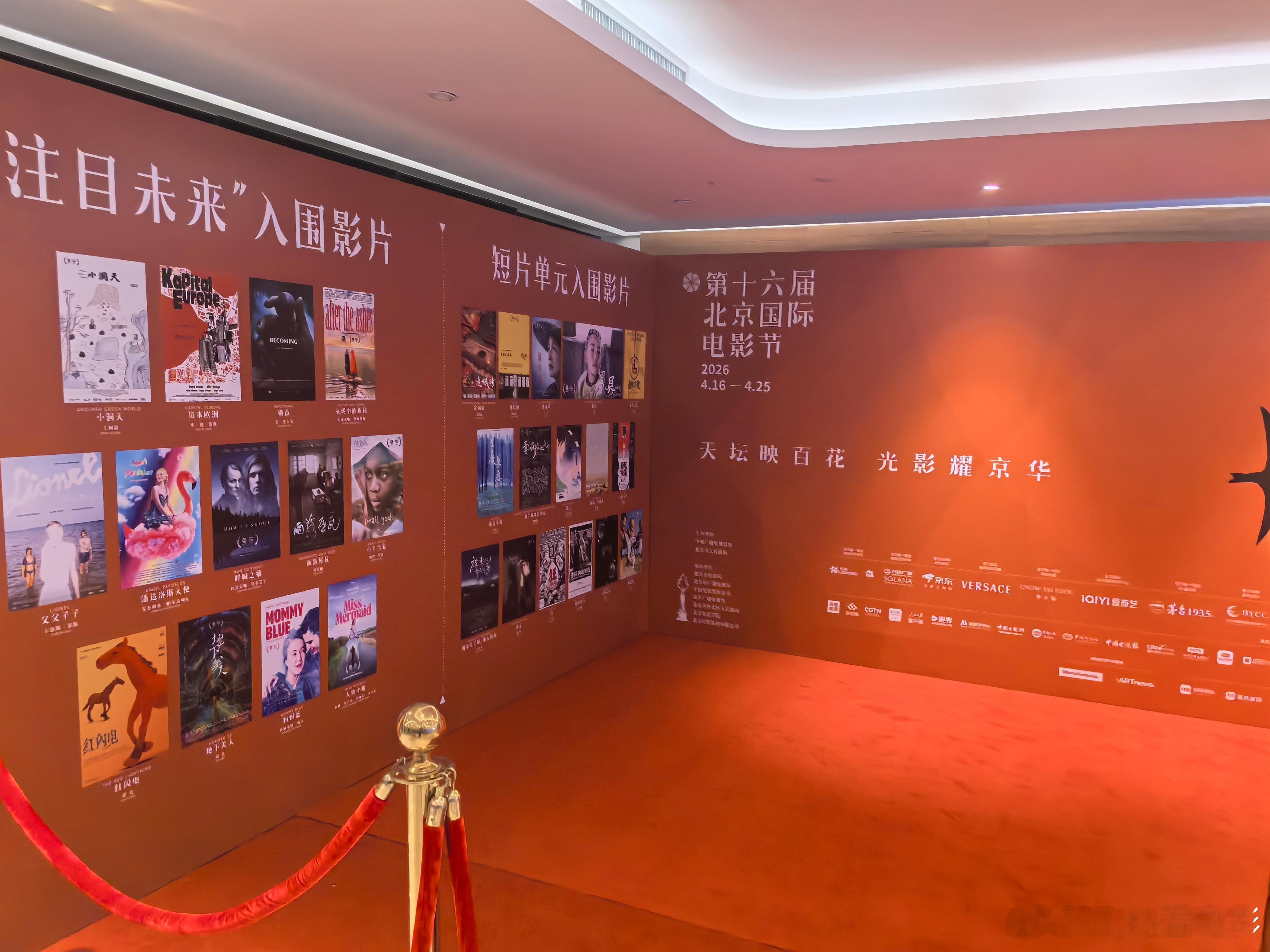 北影节第一场，先来看《森中有林》期待一波！森中有林首波口碑