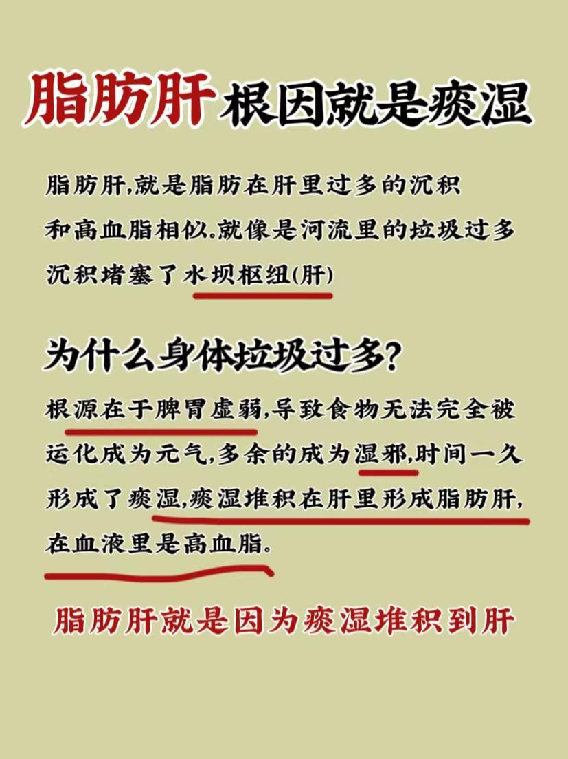 脂肪肝根因就是痰湿！什么是脂肪肝？脂肪肝就是肝内脂肪太多，形成堵塞。那为啥说“脂