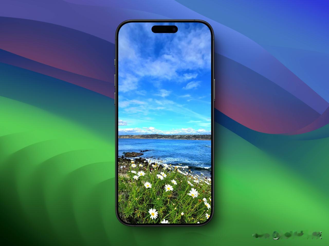 送大家一张壁纸，实地拍摄于拉霍亚海滩，适用于iPhone 16 Pro Max以
