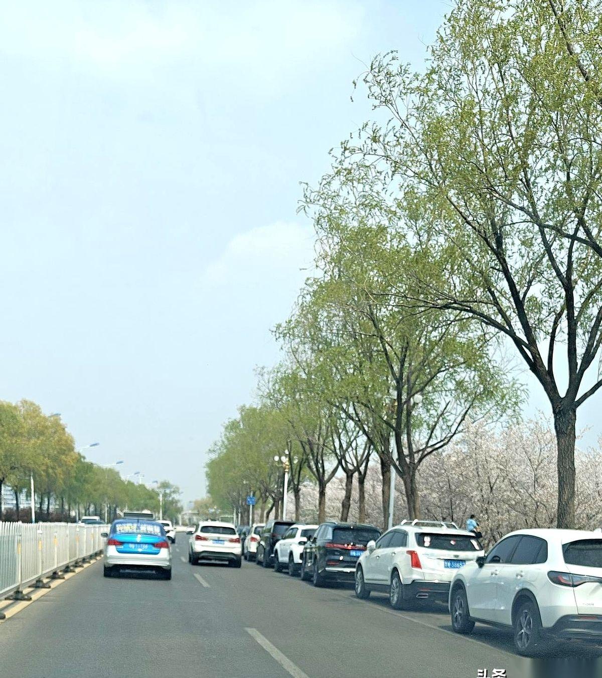 一脚刹车，停在沂河边。车窗摇下来，外面不是风，是人。
乌泱乌泱的，南京路往北，路