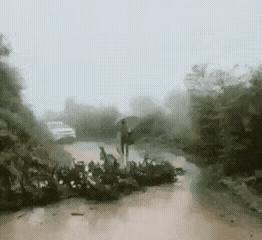 男子撑着雨伞挎着包袱回家，在山的转角处恰逢一棵倒树栏住了路过小车的去路，男子随手