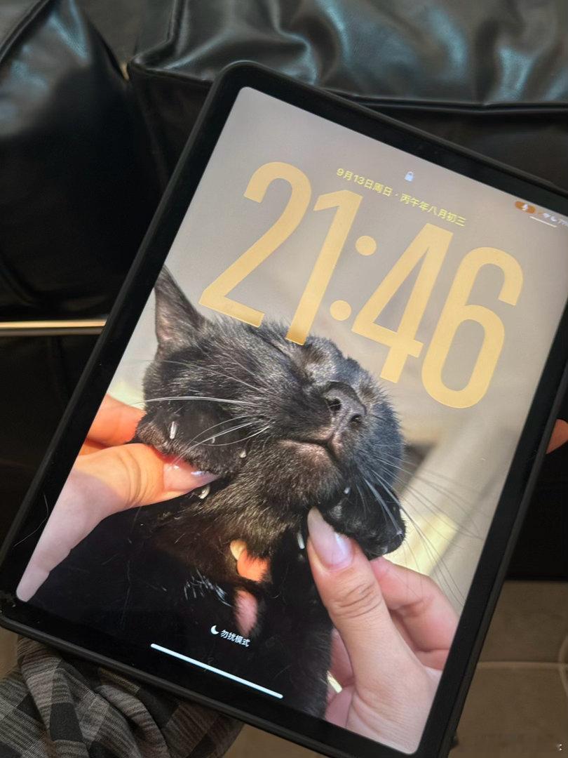 苹果这个自动壁纸真的是我最喜欢的功能之一！我选了“猫”于是它每天都会随机将一张小