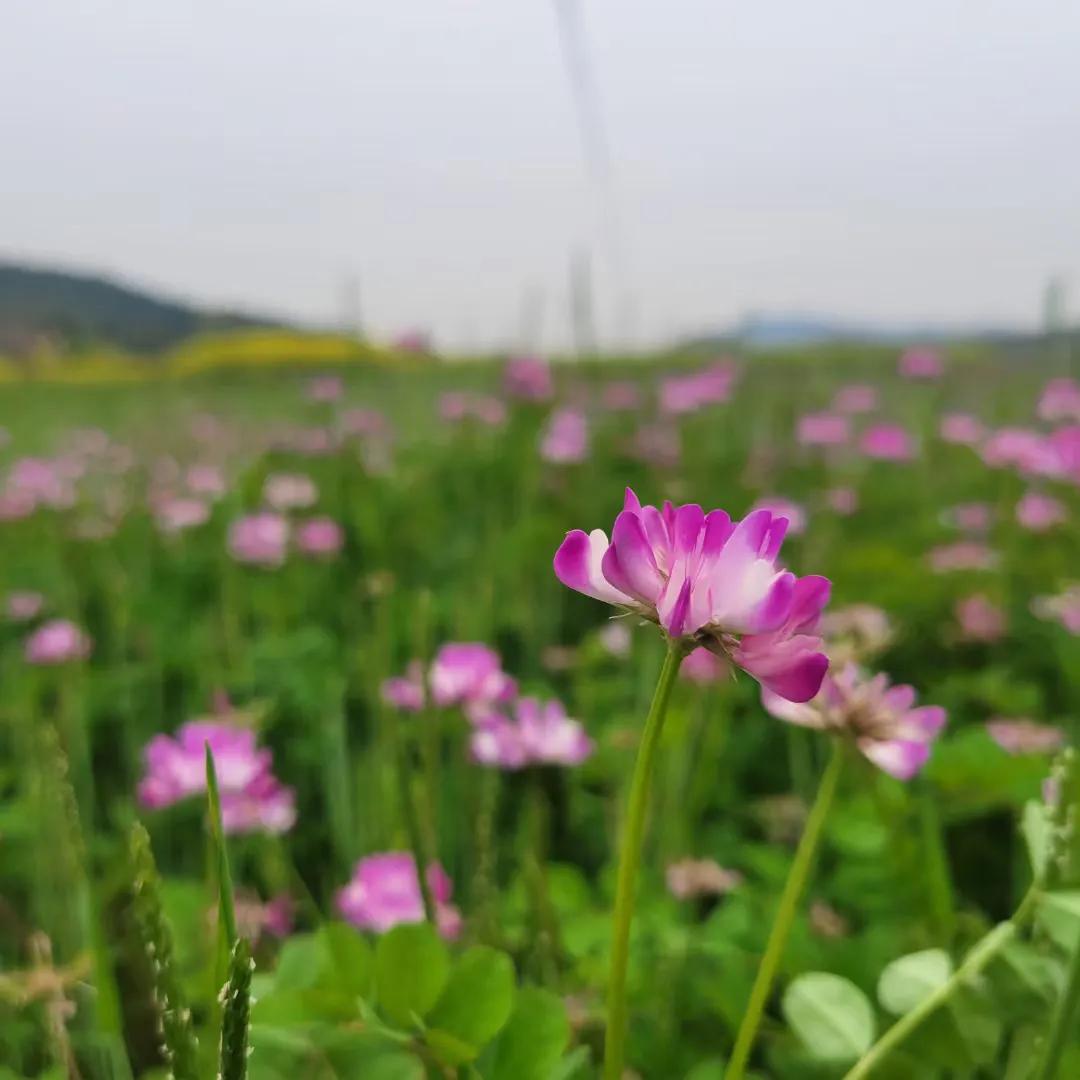 据说油价又要涨了，时间就在今天夜晚12:00点。开油车的朋友还好吗？
感觉油价就
