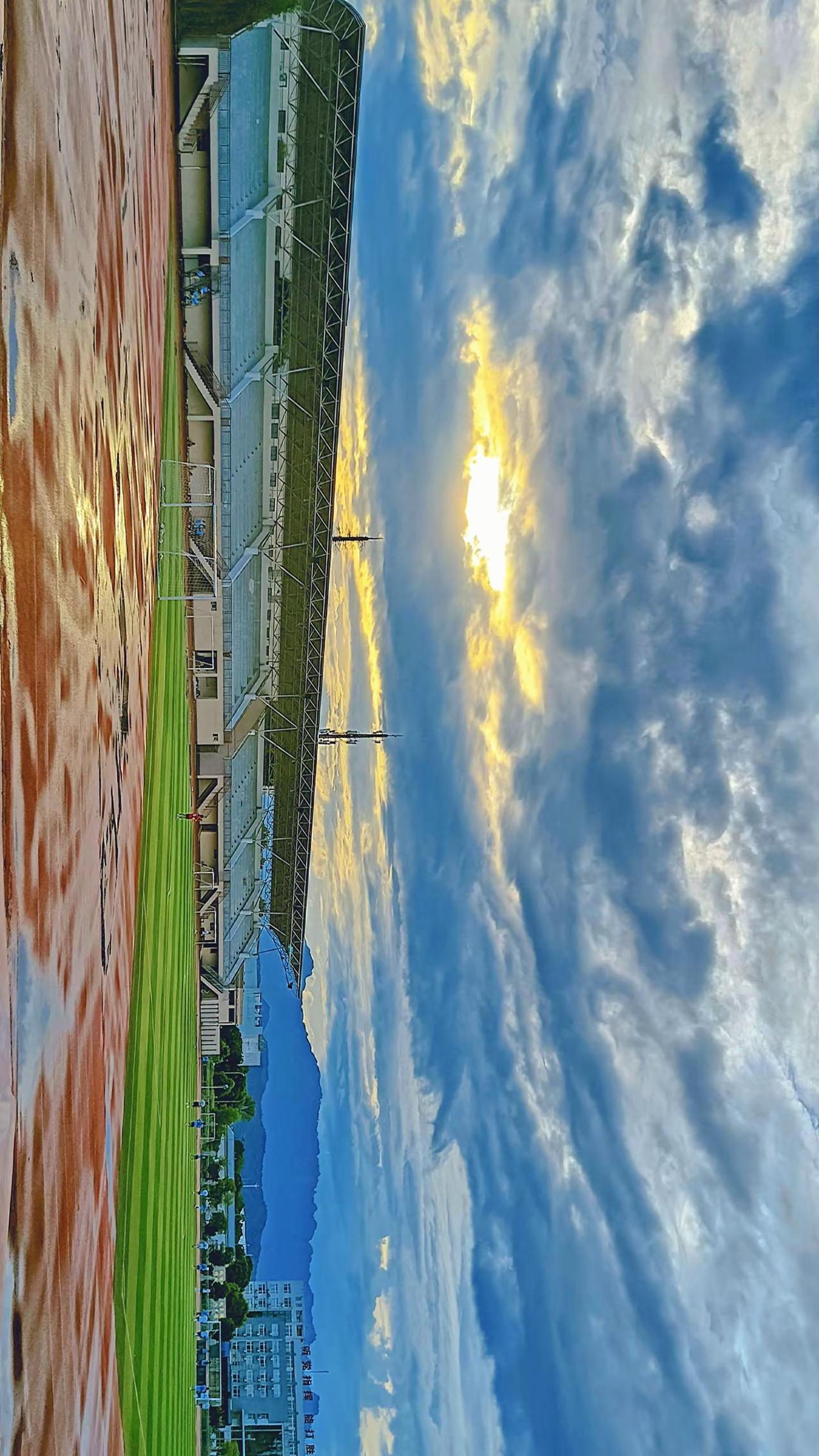 你骄傲的飞跃 我栖息的夏天。高中 晚霞