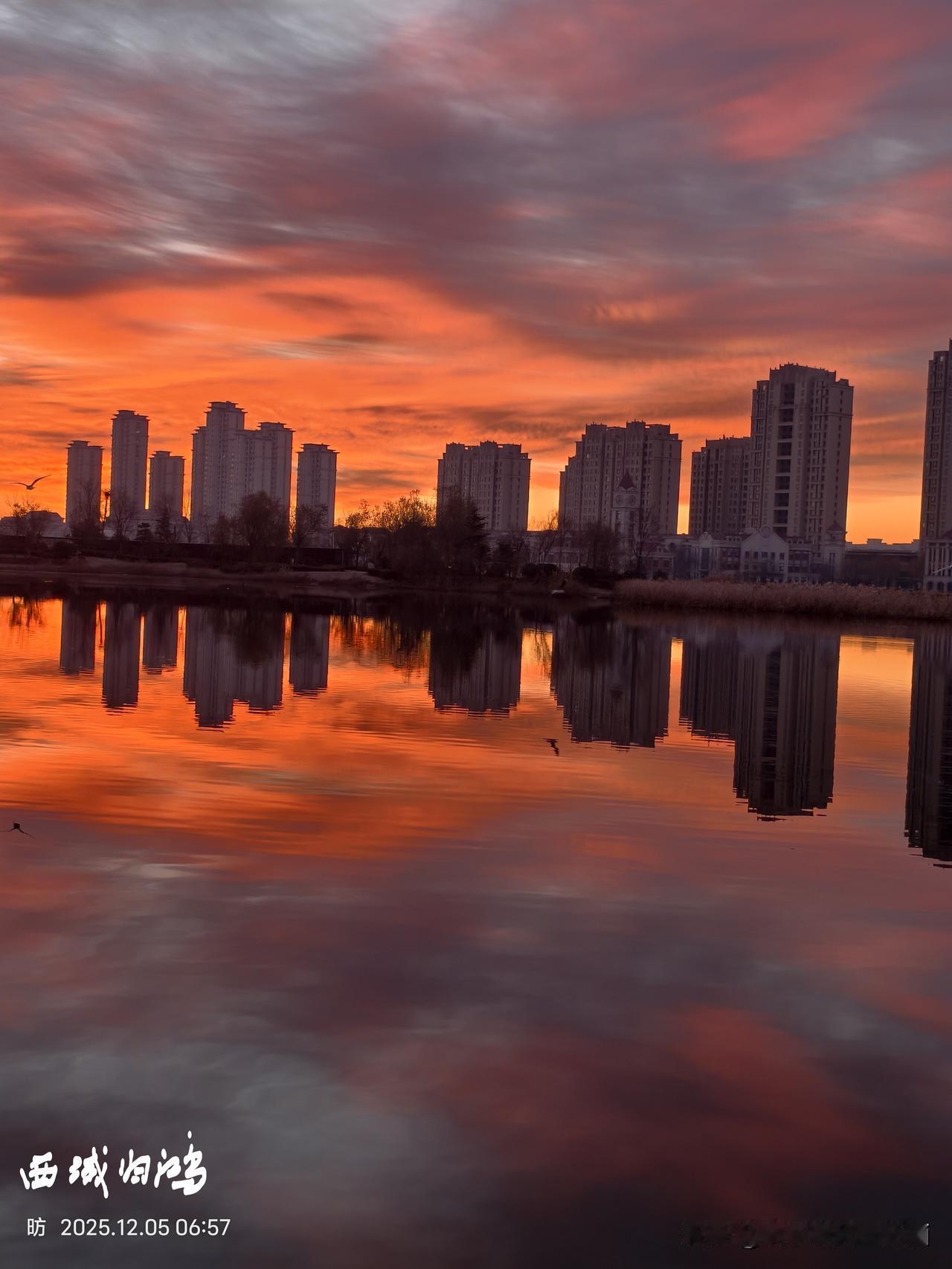 发一张你相册里最好看的图片东营晨曦