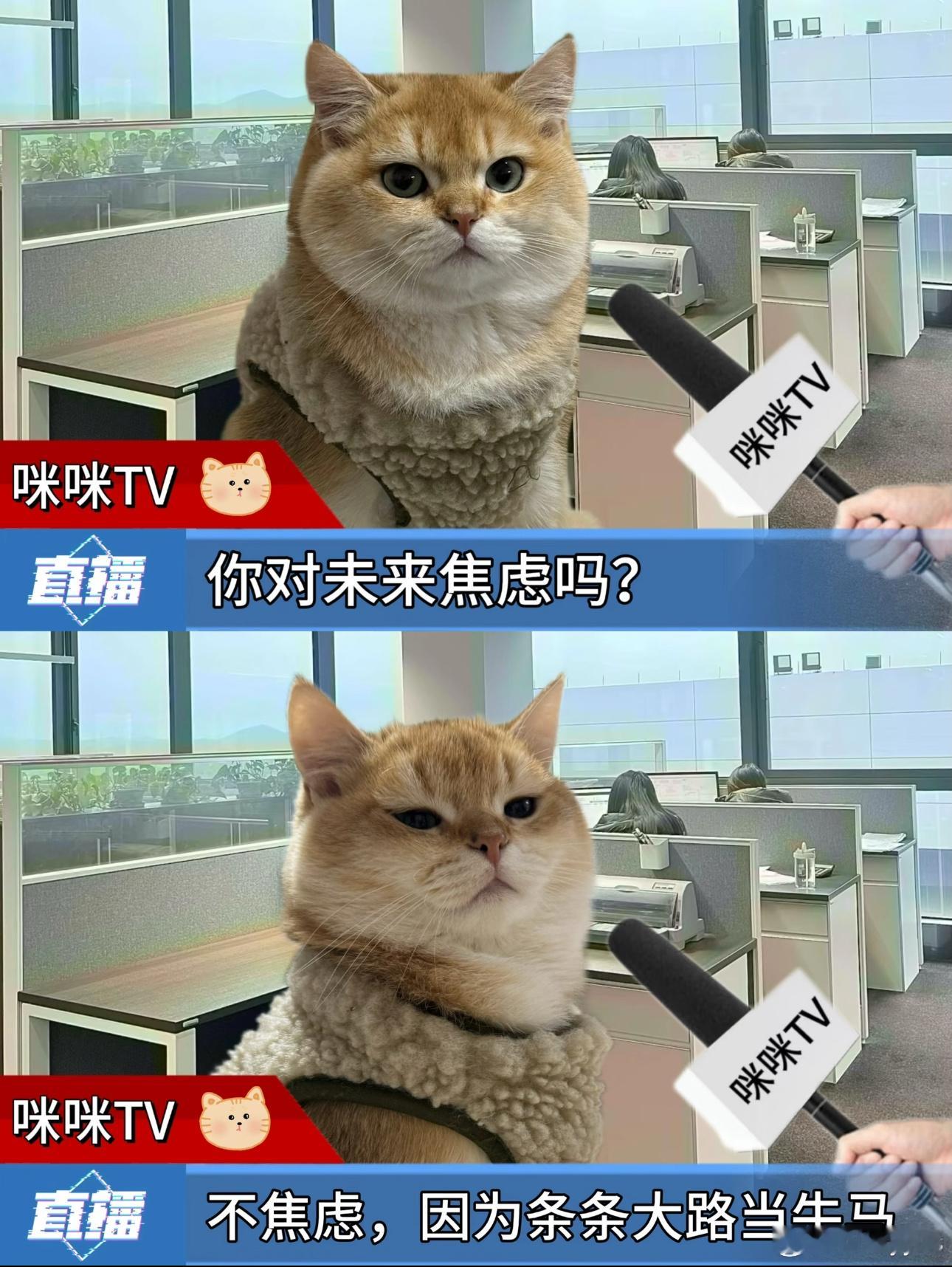 打工人不语 只是一味的发疯！ 