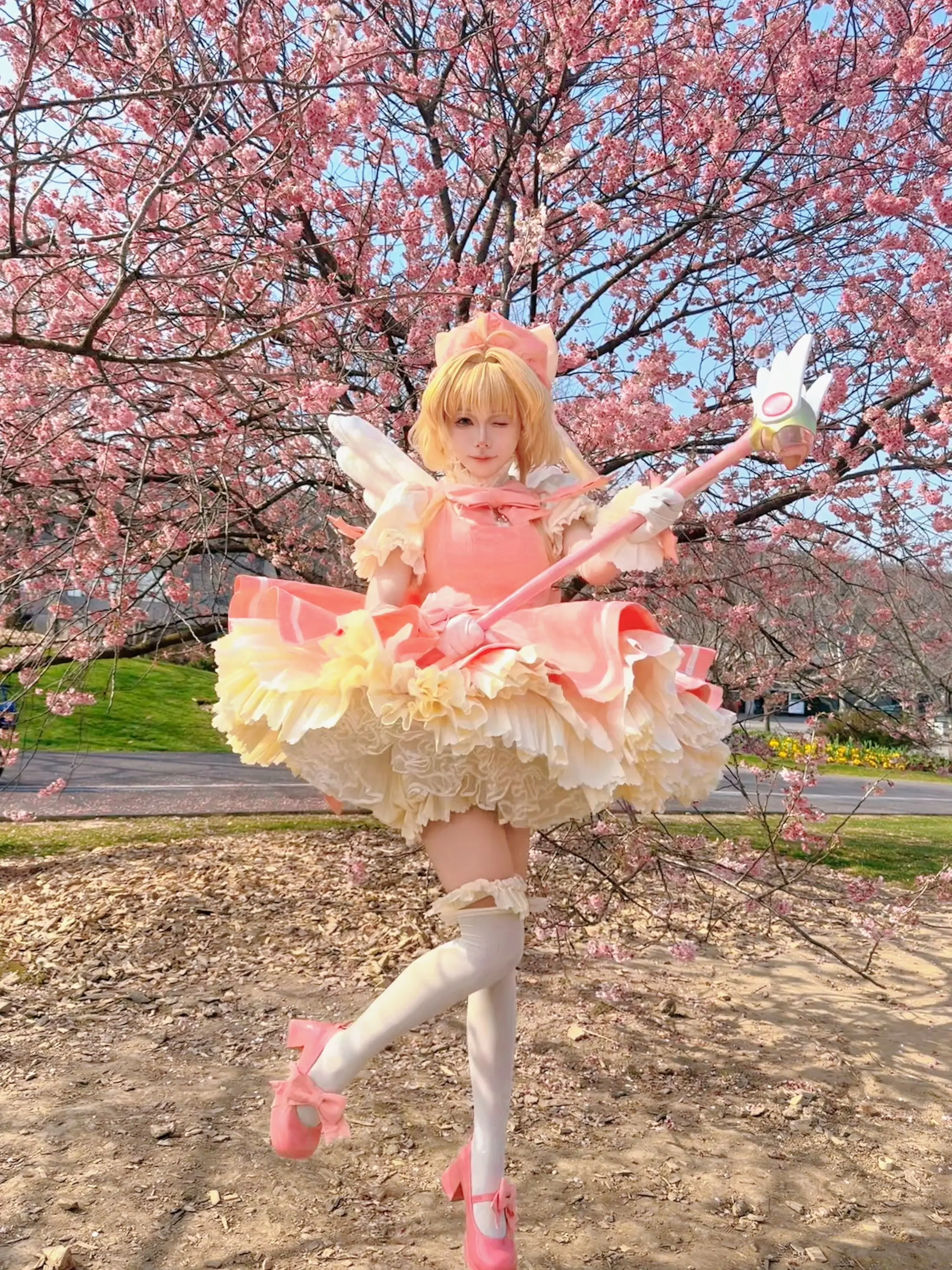 没有樱花季不拍小樱的义务🤷🏻‍♀️。