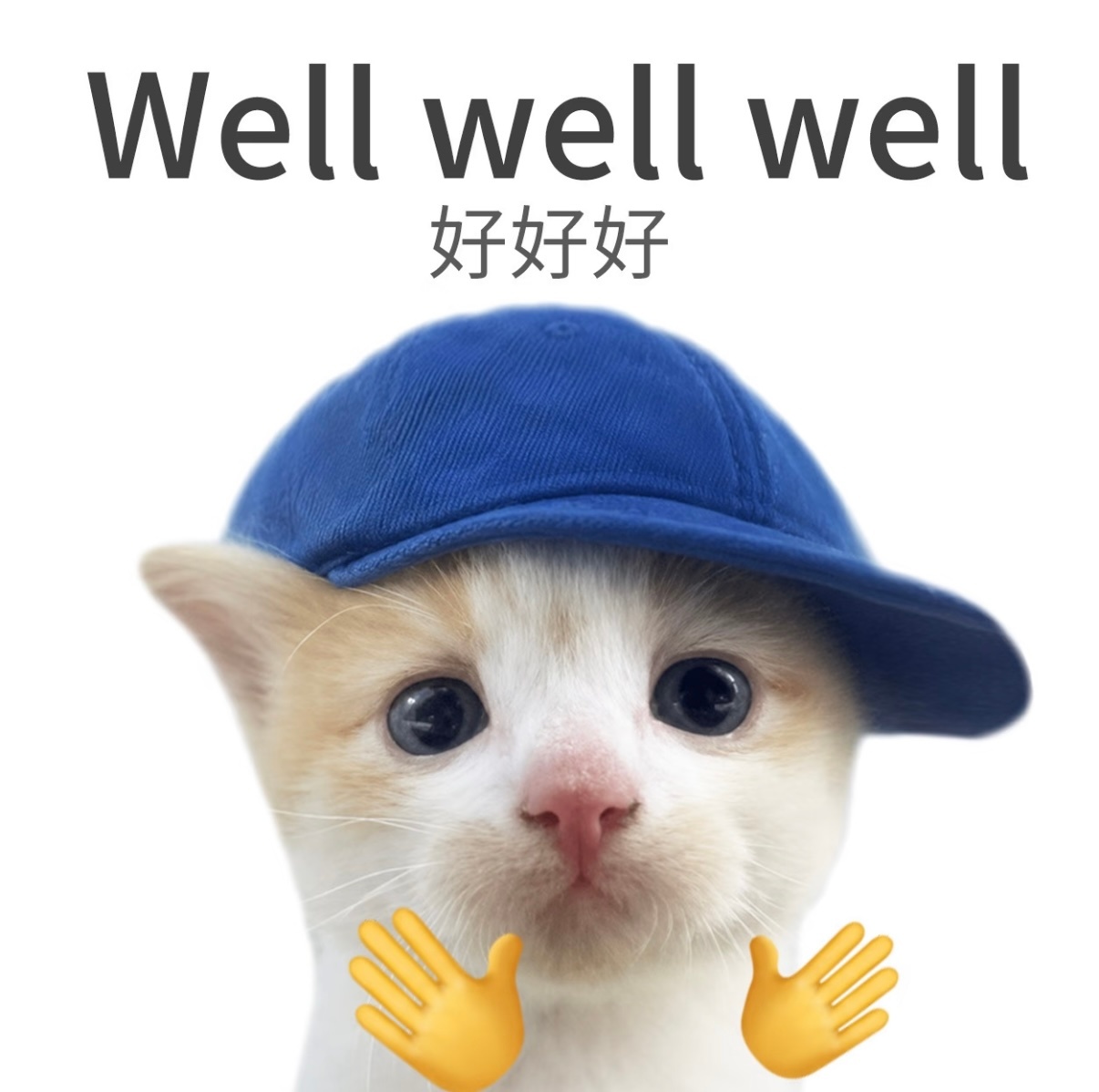 每年生日都是顶着钻超过的今天最后一天冲热度啦还差1.3w美美达成大家签到签到，发