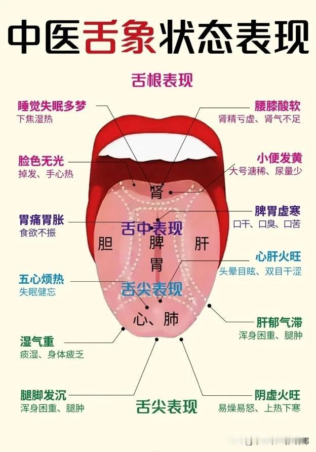 今天舌象看9个人，人少速来！！！

舌头拍照技巧
1、一定要关掉美颜
2、在室外