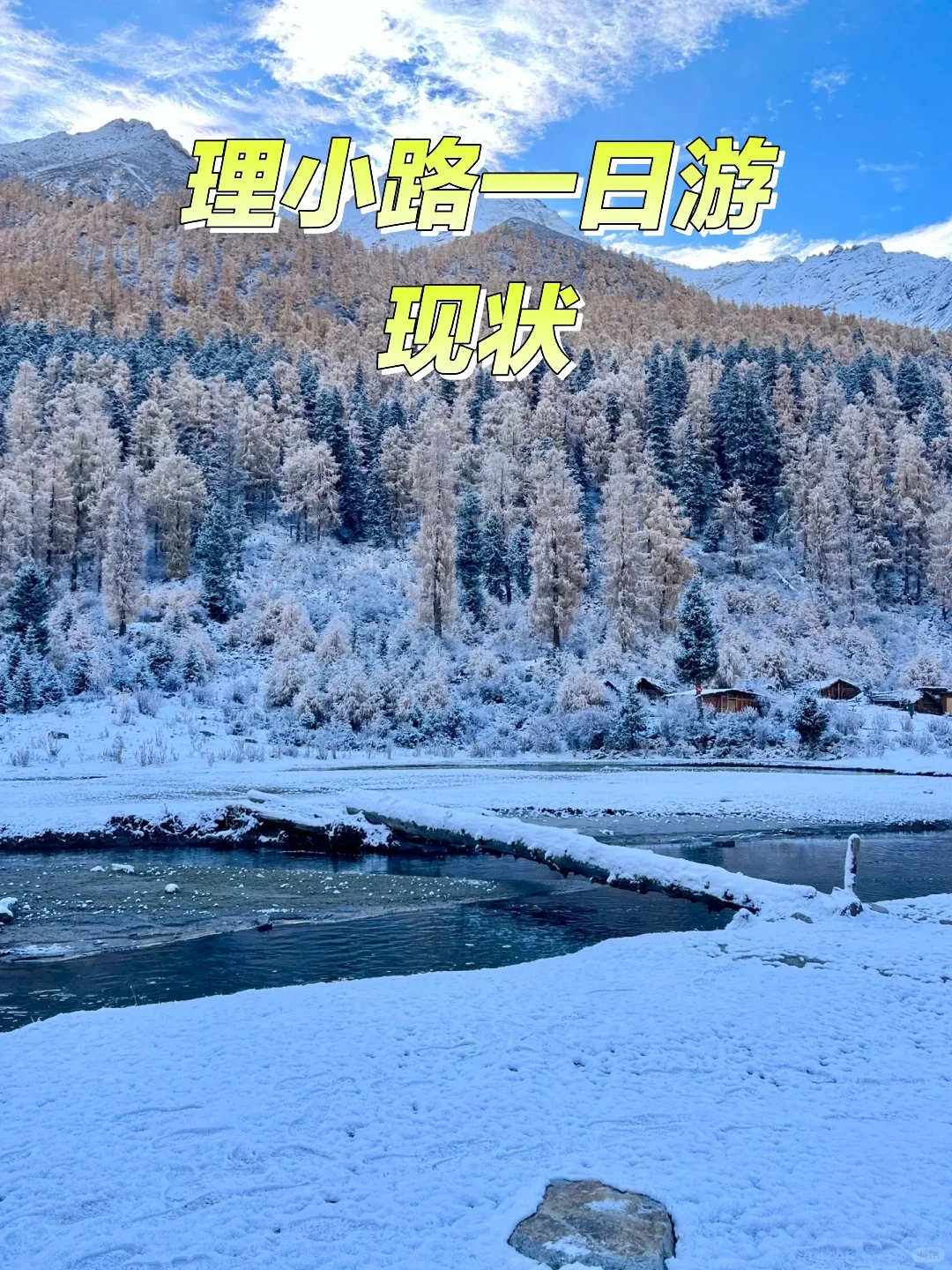 11.8📍理小路美惨了……真的是封神般存在！！