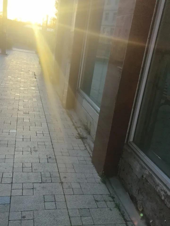 跑步，跑步，跑步，
重要的事情说三遍。
君不看王石坚持锻炼，
身体杠杠的。
冯唐