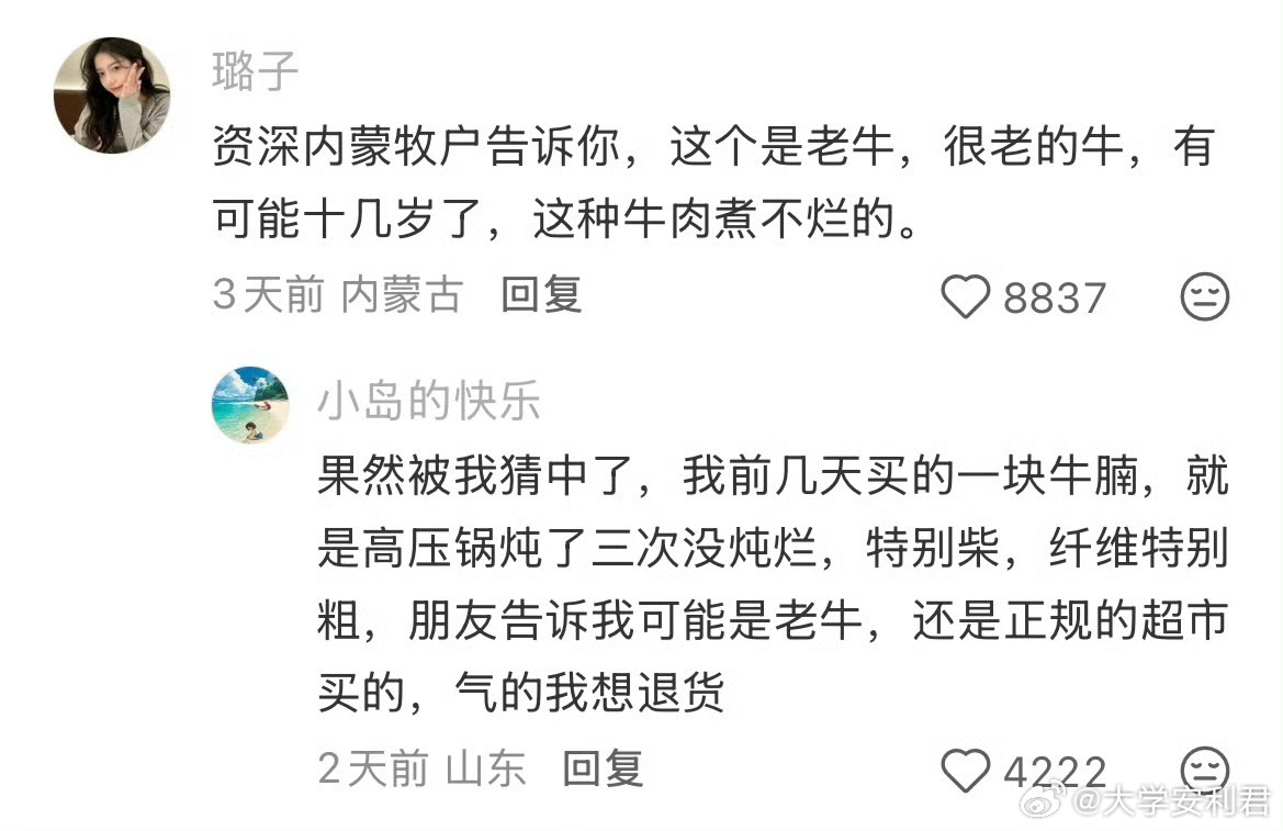 九个小时就是恐龙也炖烂了