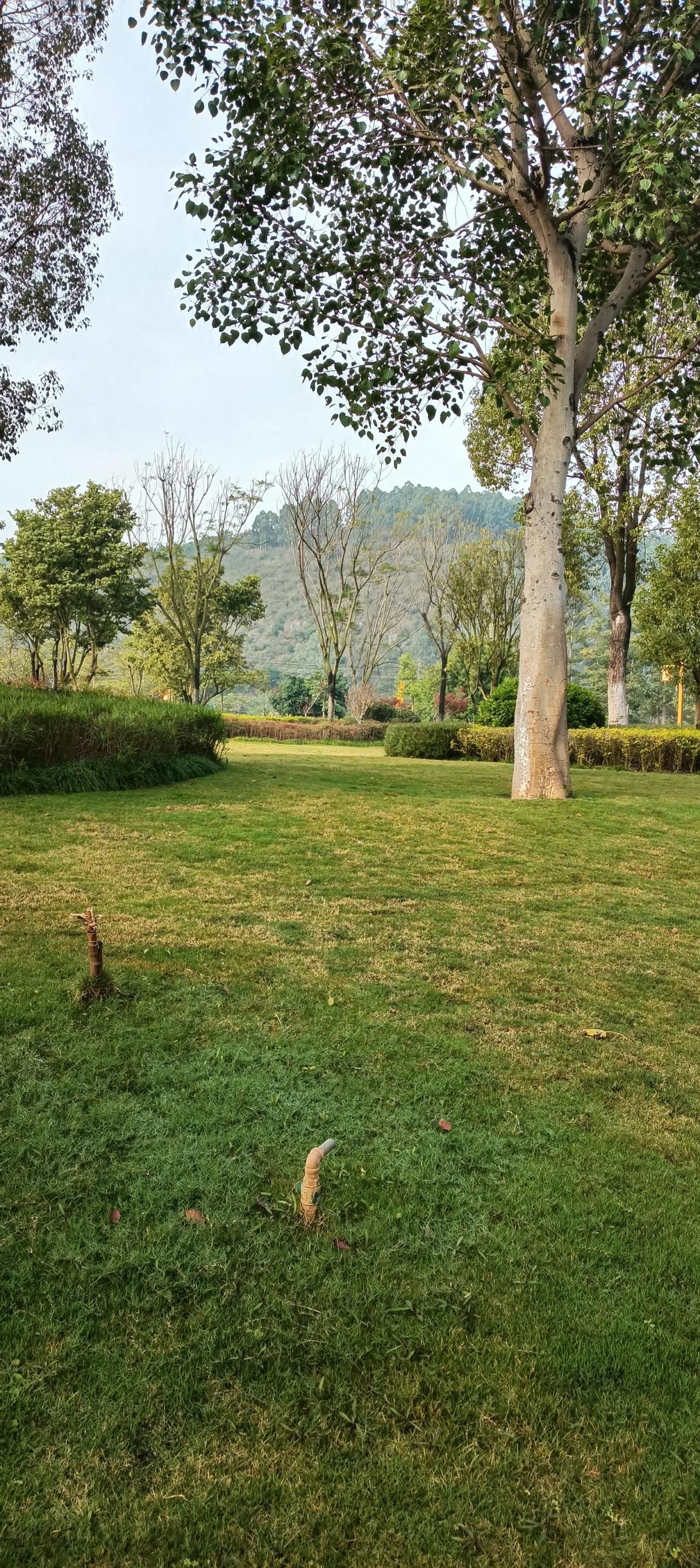 给朋友分享一下我随手拍的美照请多多点赞