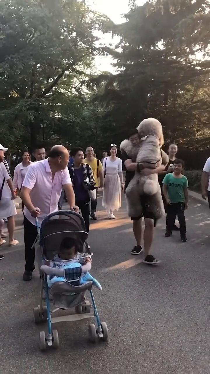 Here's why big dogs are the biggest babi