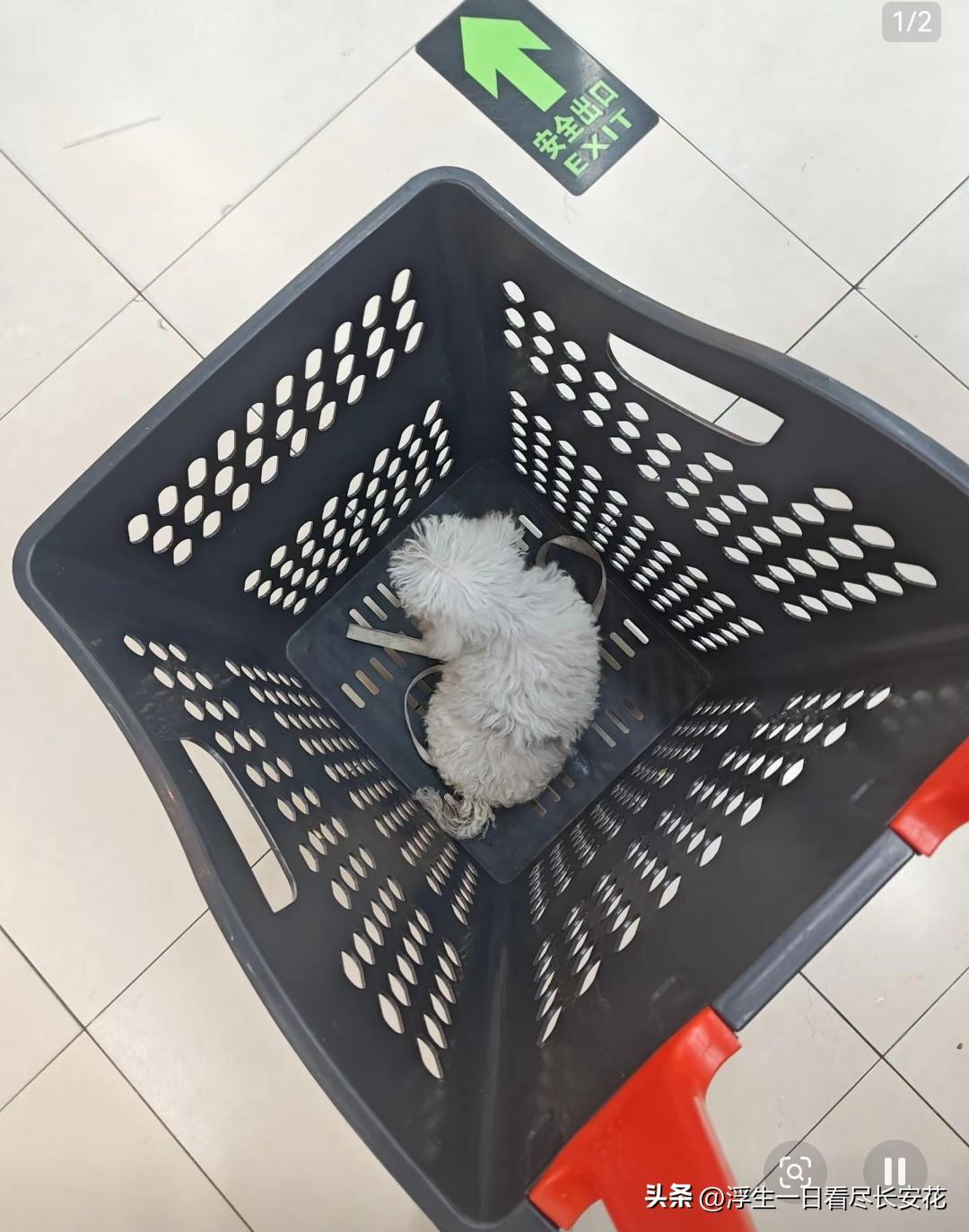 这是广东网友在镇上一家嘉荣超市里拍到的，据说这种现象已经很普遍了，基本每个星期都