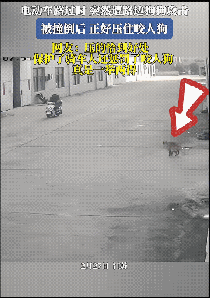 它属于没事找事的！
扶车扶的太快了，应该再压一阵子，而且女子站起来时，好呆应该踢