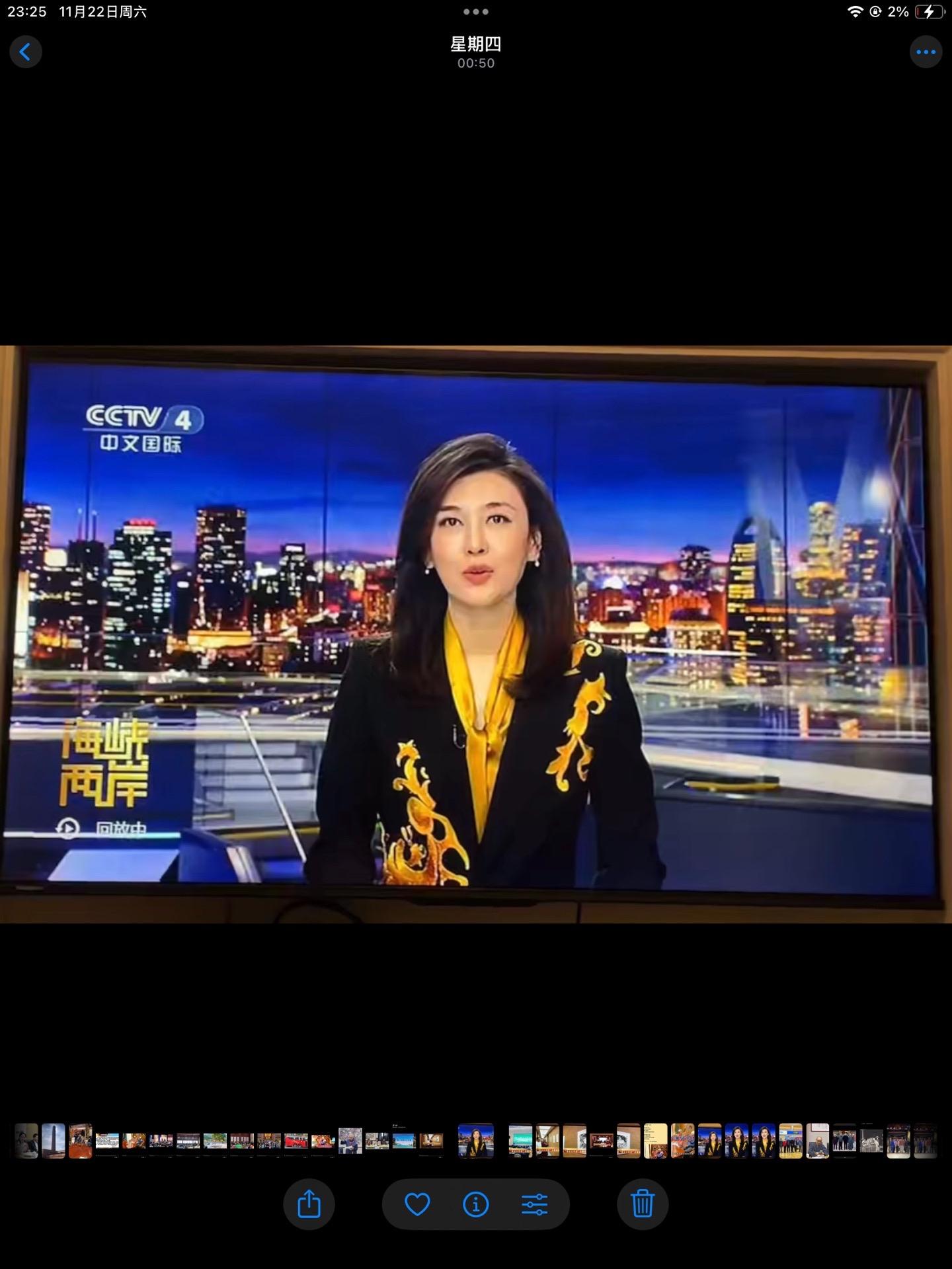 我的画展上了央视四套。“苍海一啸”国画展：苏东坡