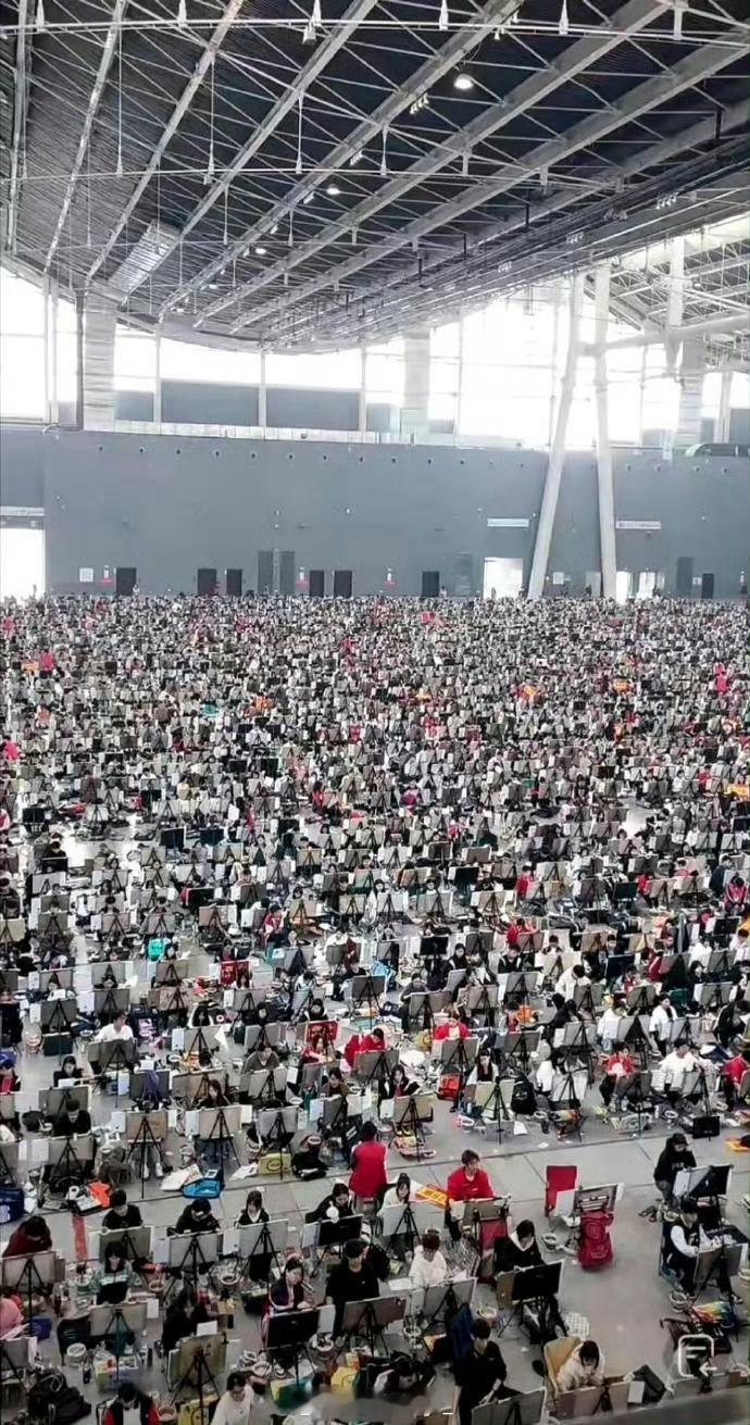 以后他们她们就业方向是什么？ 