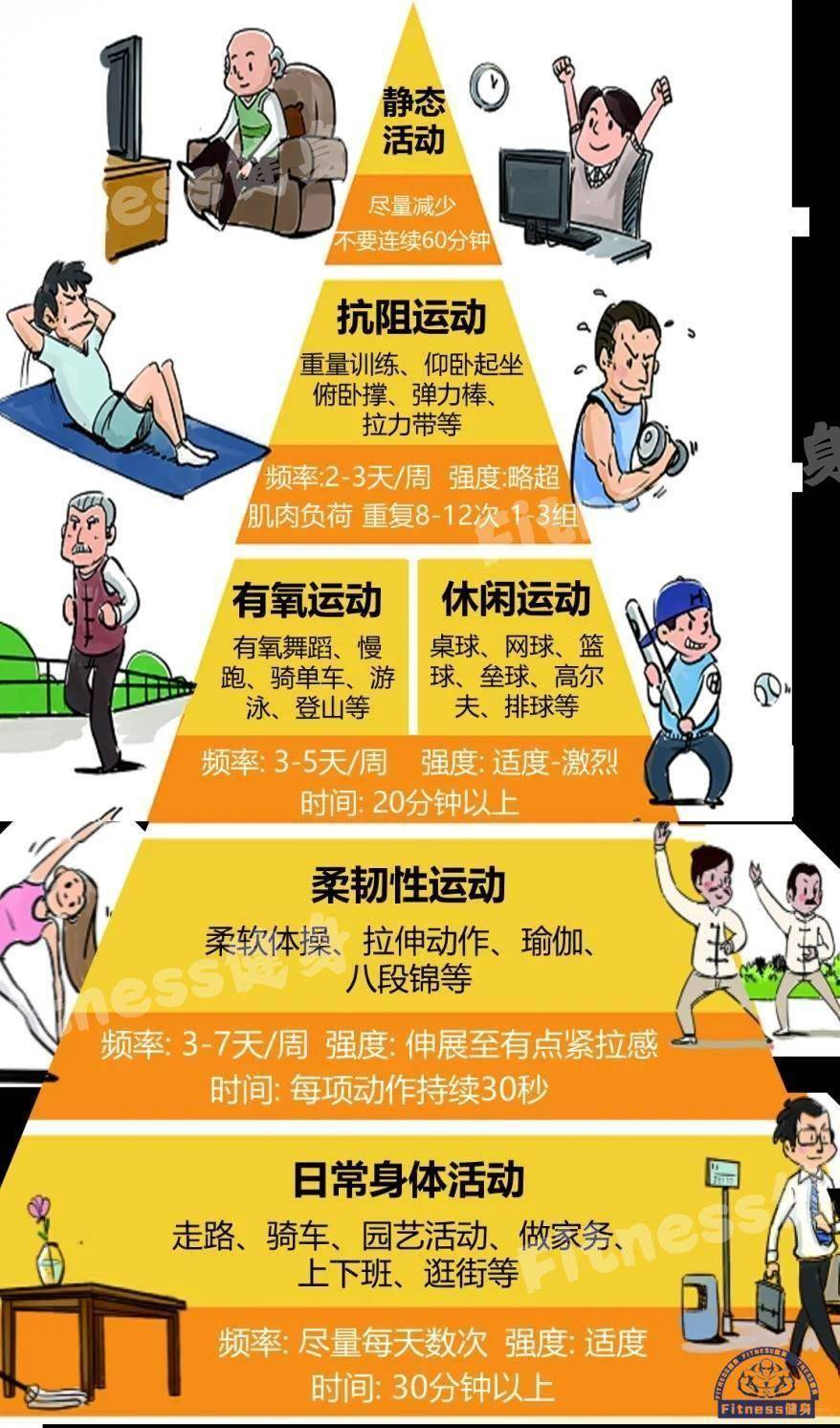 运动金字塔：健康人每天最好能运动30~60分钟，每周最好能够积累150~300分