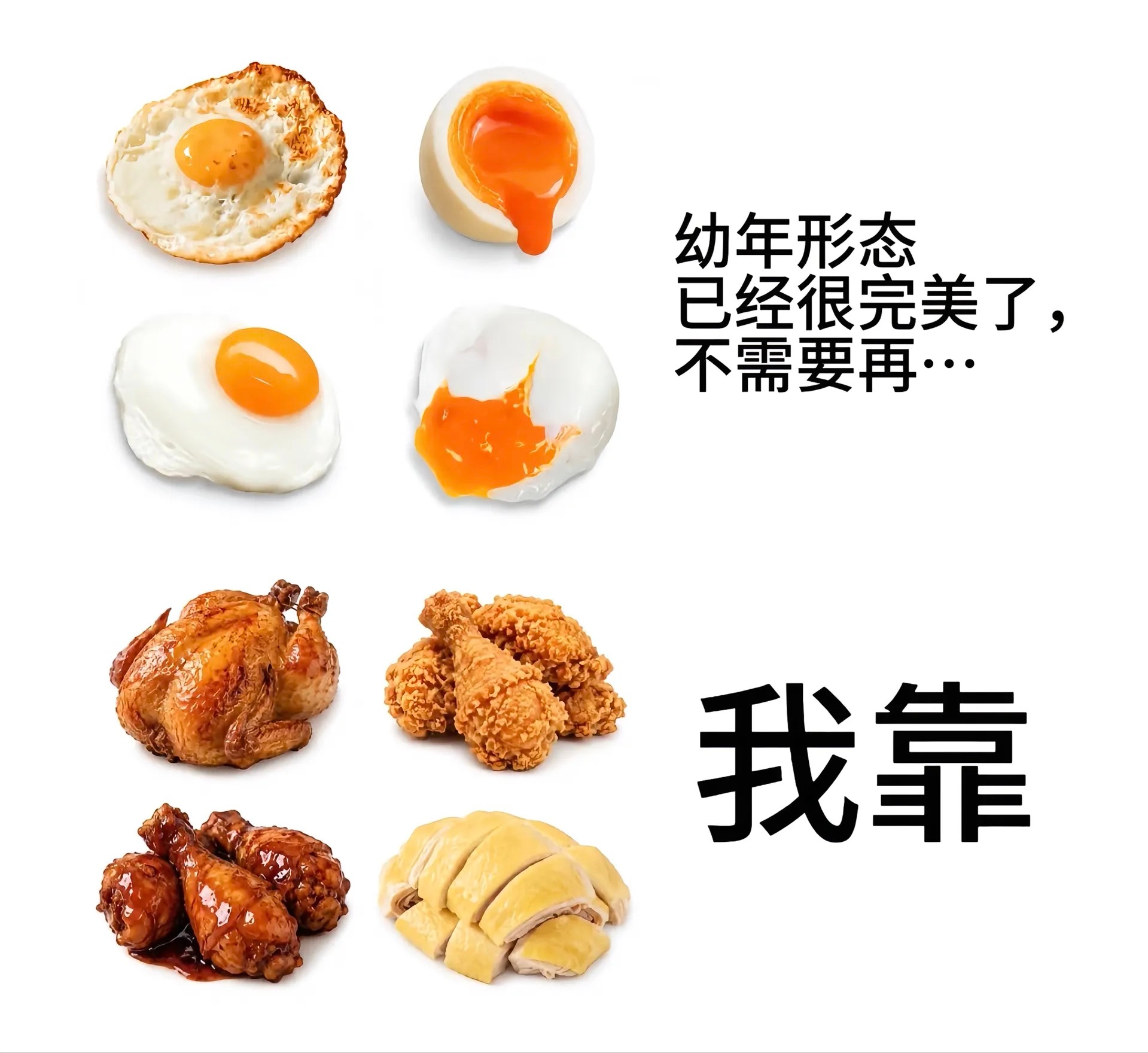 幼年形态已经很完美了这是最近的梗吗？ 