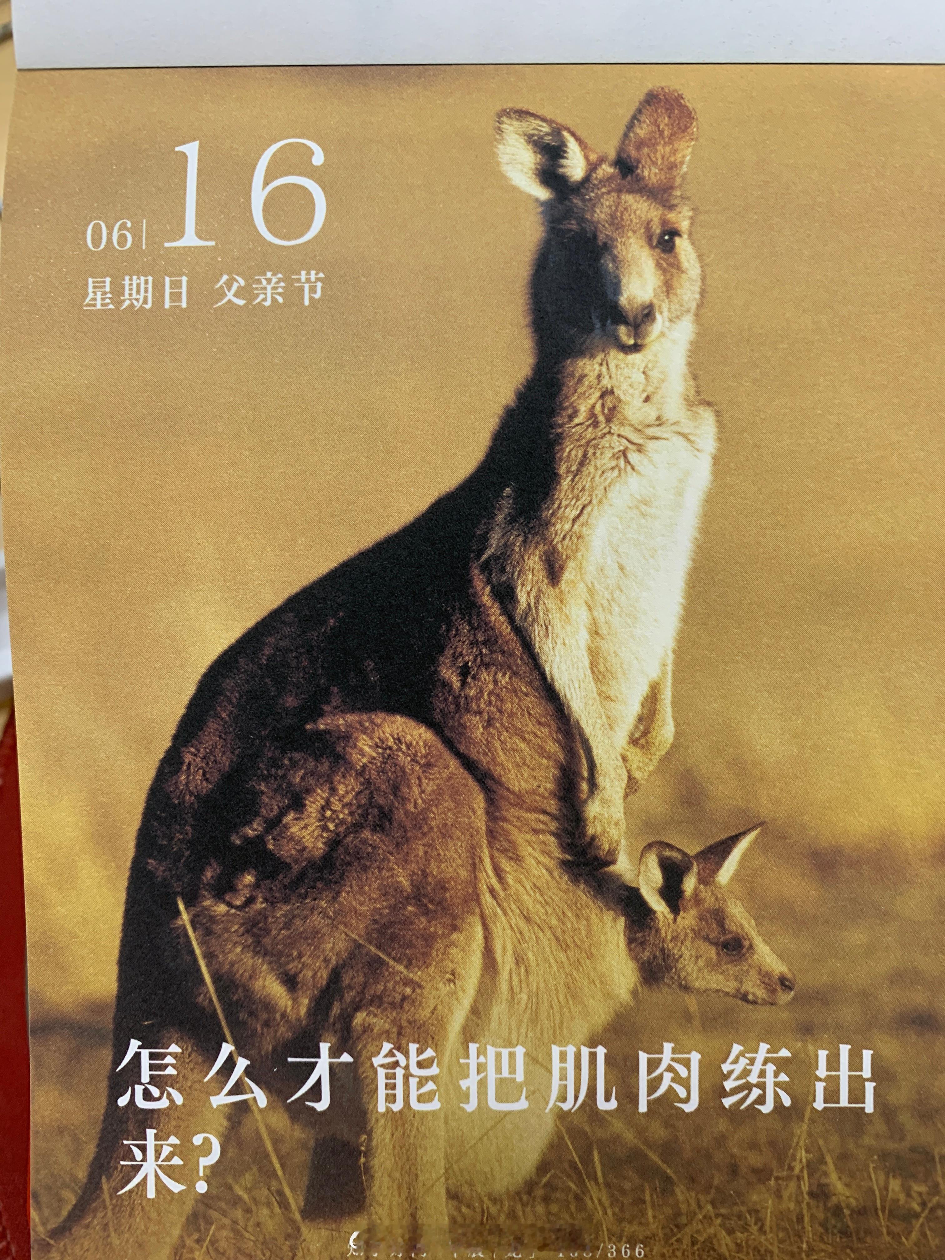 朋友们早，今天记得跟自己的爸爸说一声 ​​​